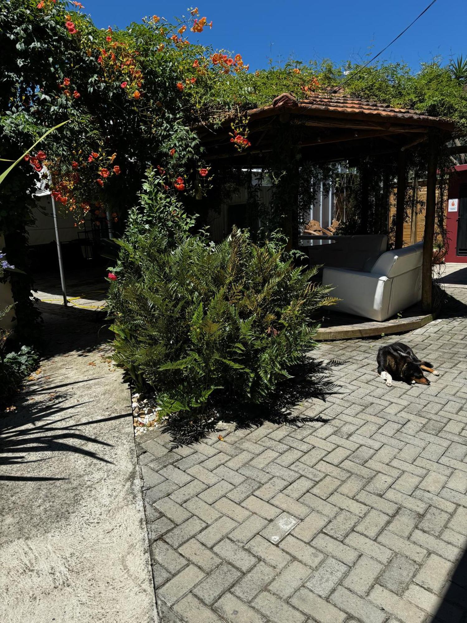 Pousada Upserra Urubici Buitenkant foto